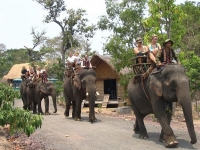 Vé máy bay đi Buôn Ma Thuột